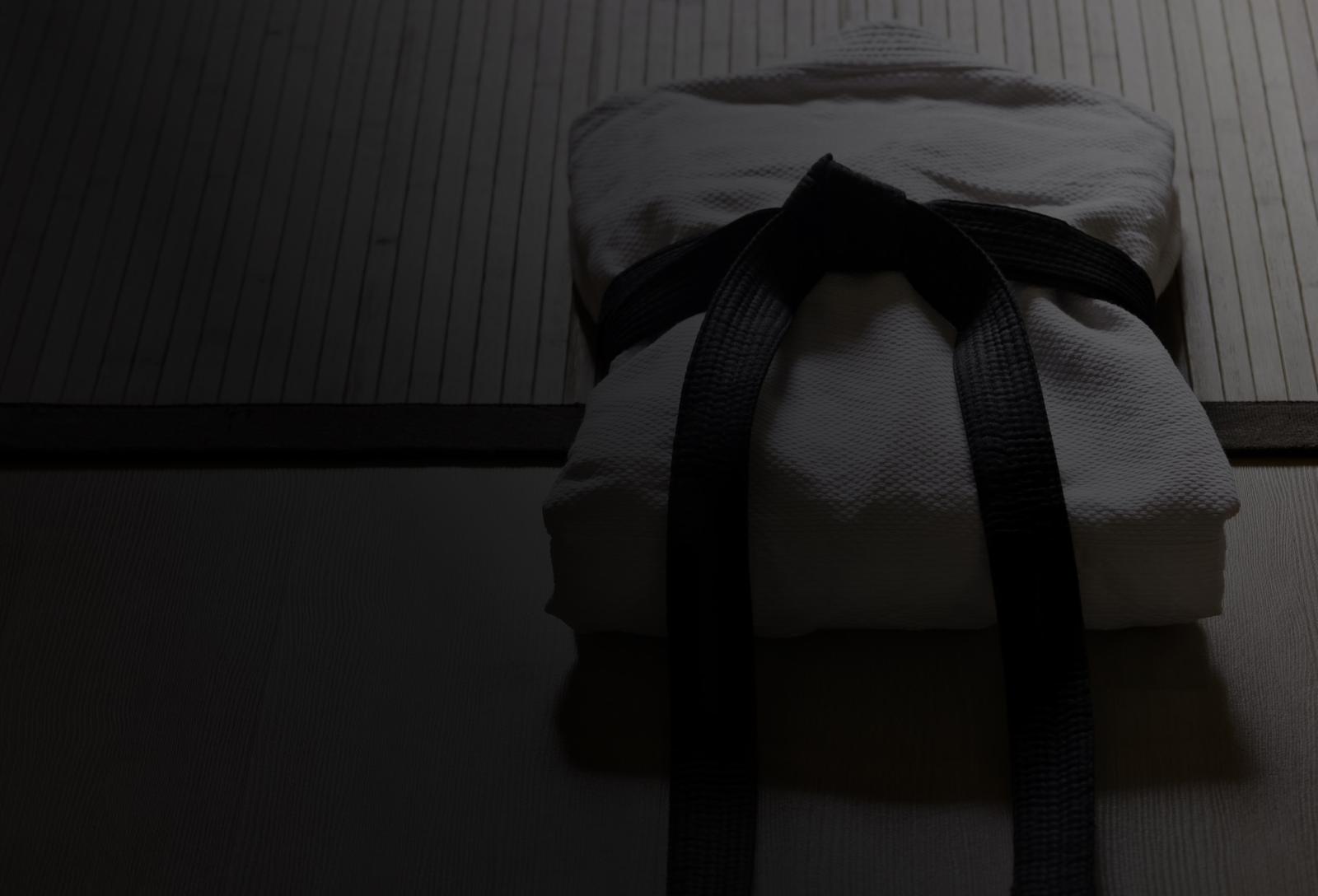 JUDO ACCUEIL.jpg